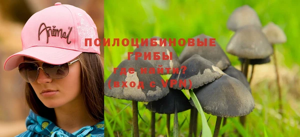 mix Богородск