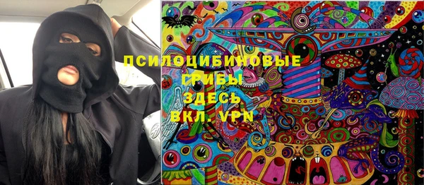 mix Богородск